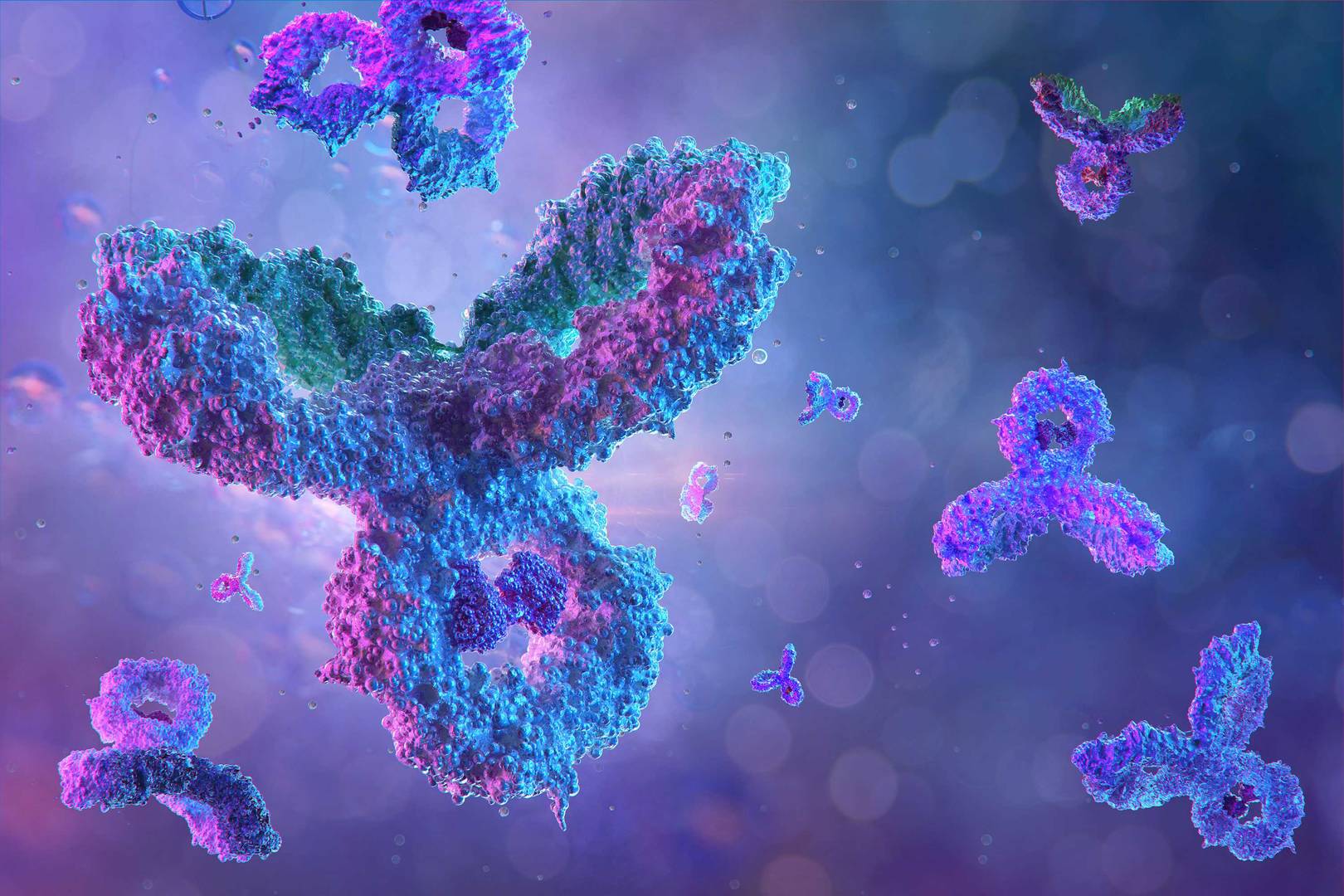 Antibodies, immunoglobulin Ig proteins 3D medical 