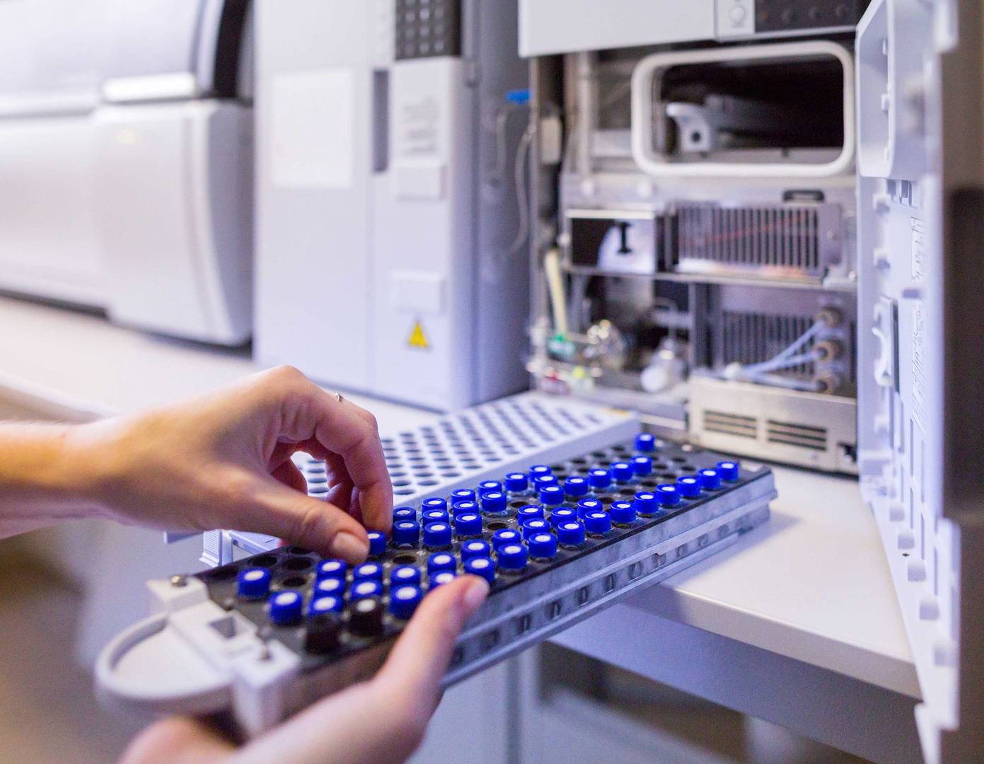 Scientist prepares samples in laboratory