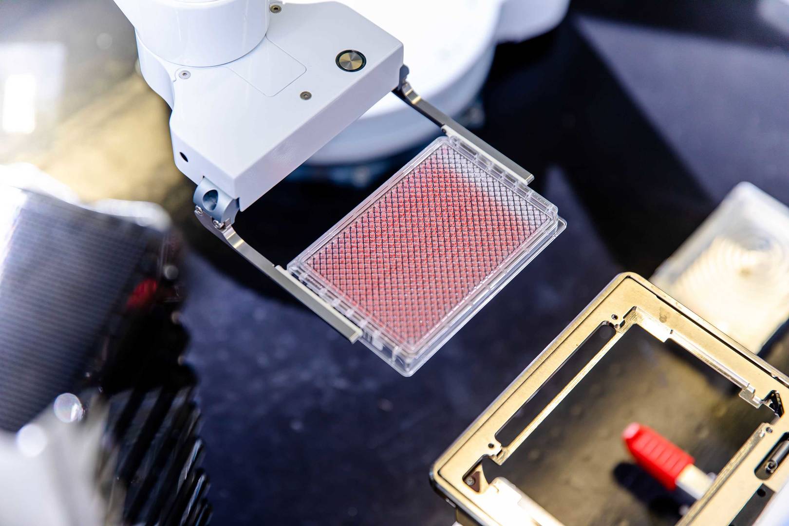 Robotics transfers microtiter plater into multimode plate reader.