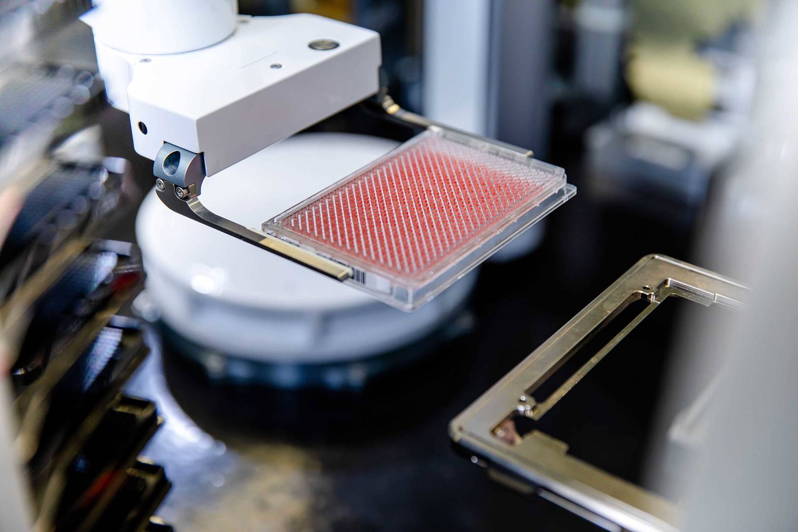 Arm of screening robot transfers 384-well plate 