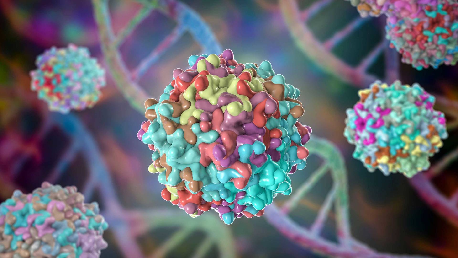 Highly efficient gene transfer using AAV vectors 