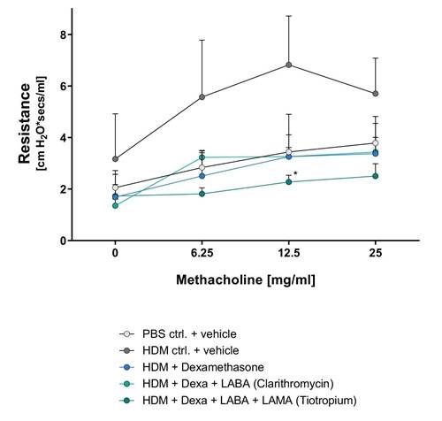 Image of eosinophilic HDM-induced asthma model 