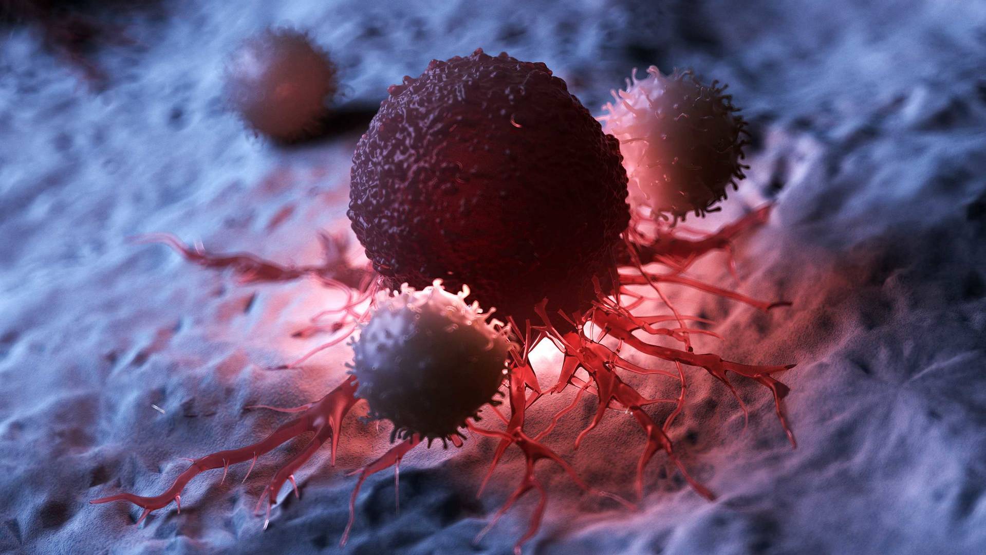 Illustrative visualization of immune cells, e.g. T cells, launching an attack on a cancer cell