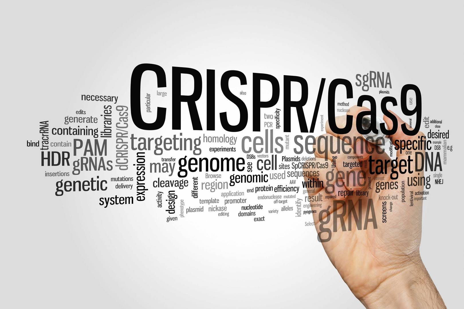 CRISPR/Cas9 system for editing, regulating and targeting genomes