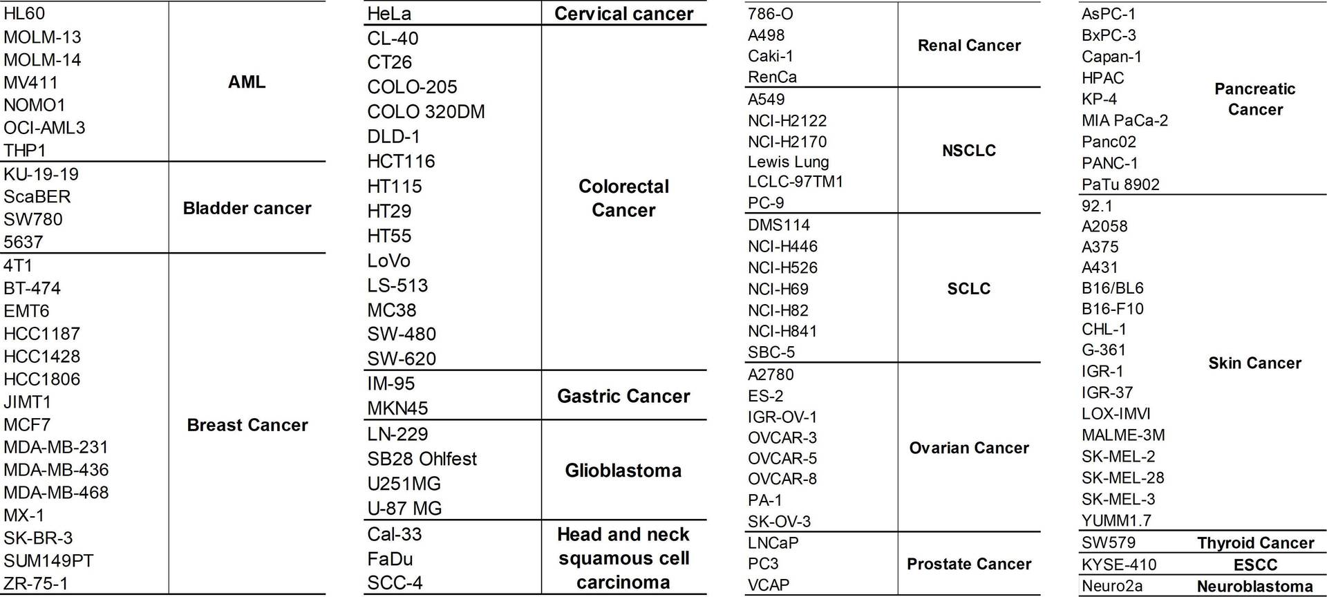 Example data: Orthotopic cell line derived xenograft (CDX) in mouse 