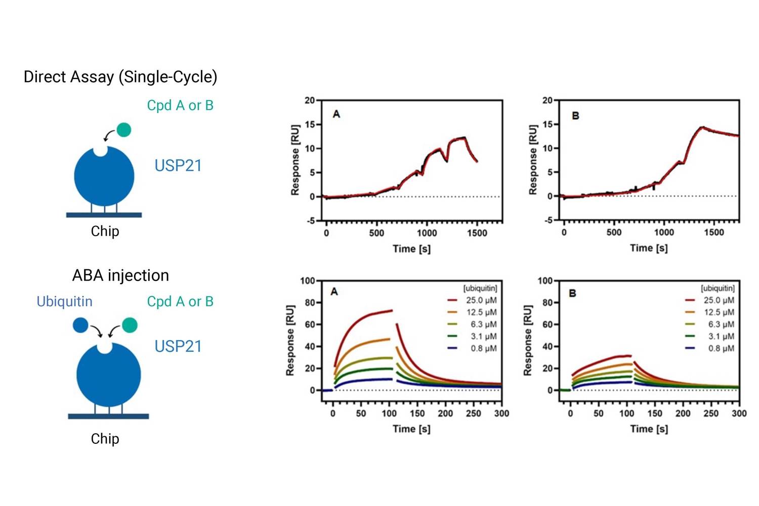 SPR characterization of the competitive binding between compounds A and B with ubiquitin for USP21