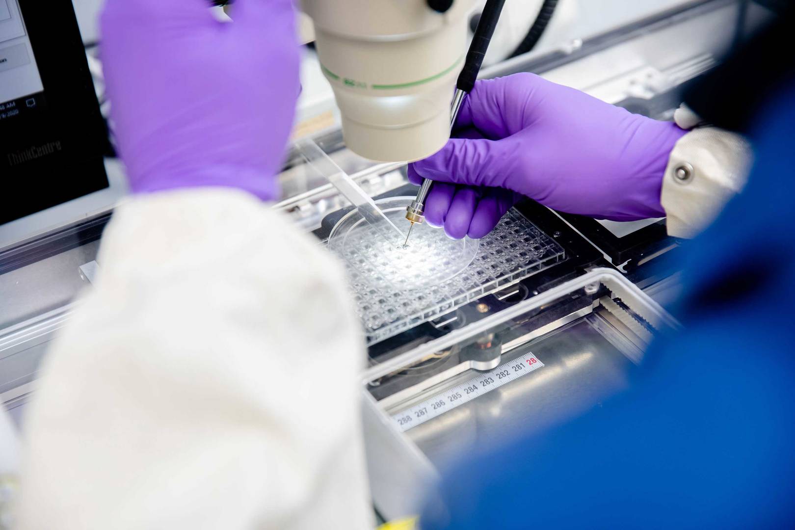 Harvesting crystals from crystallization plate 