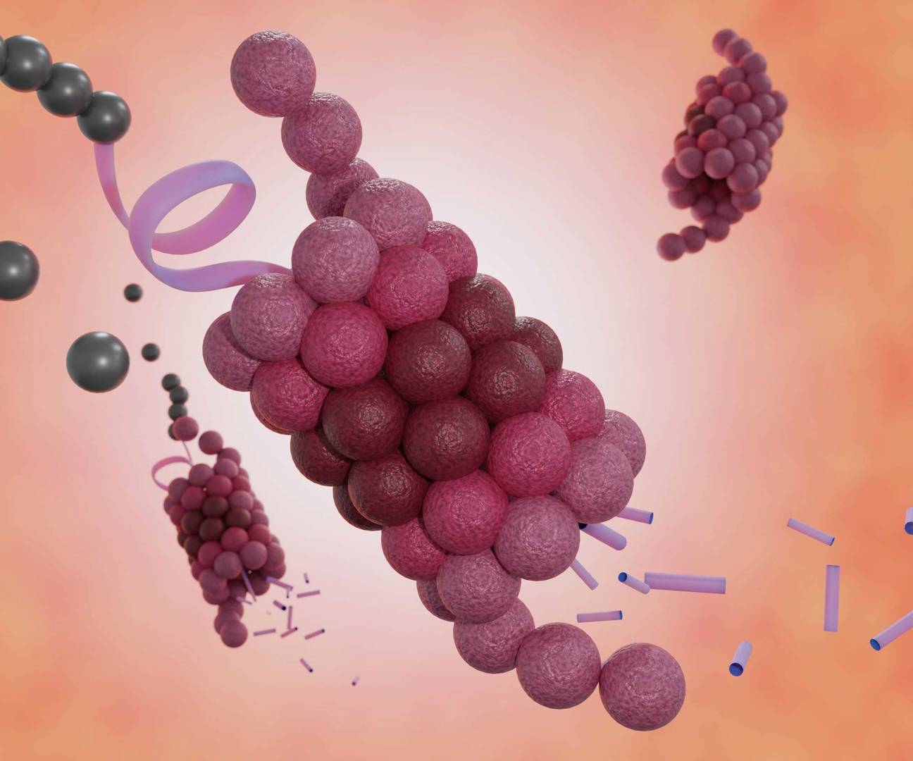  Protein degradation machineries in eukaryotic cells 3d rendering