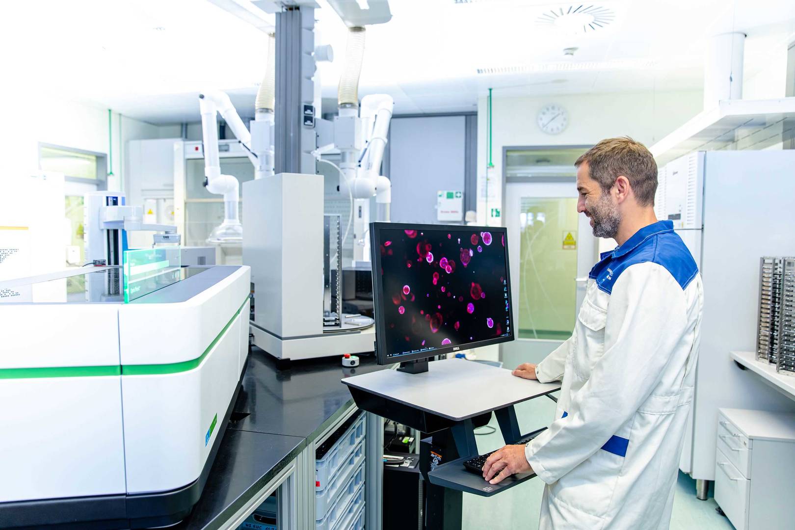 A scientist explores imaging data of a high-content assay
