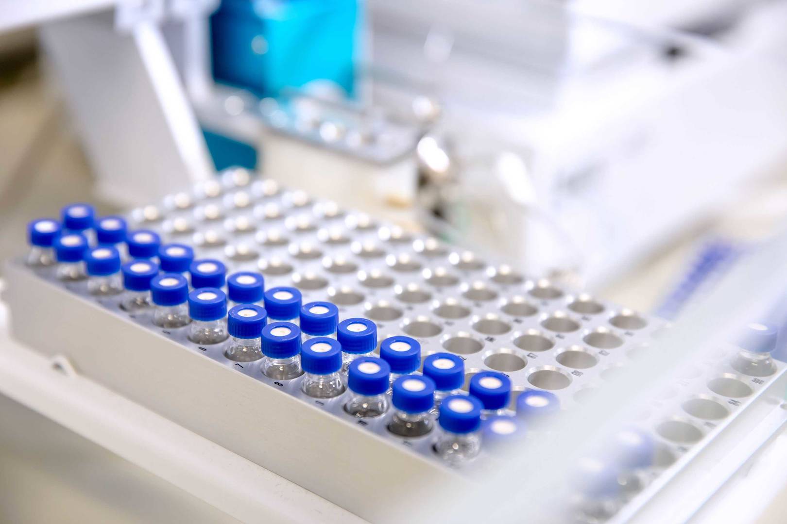 A rack of samples for HPLC analysis