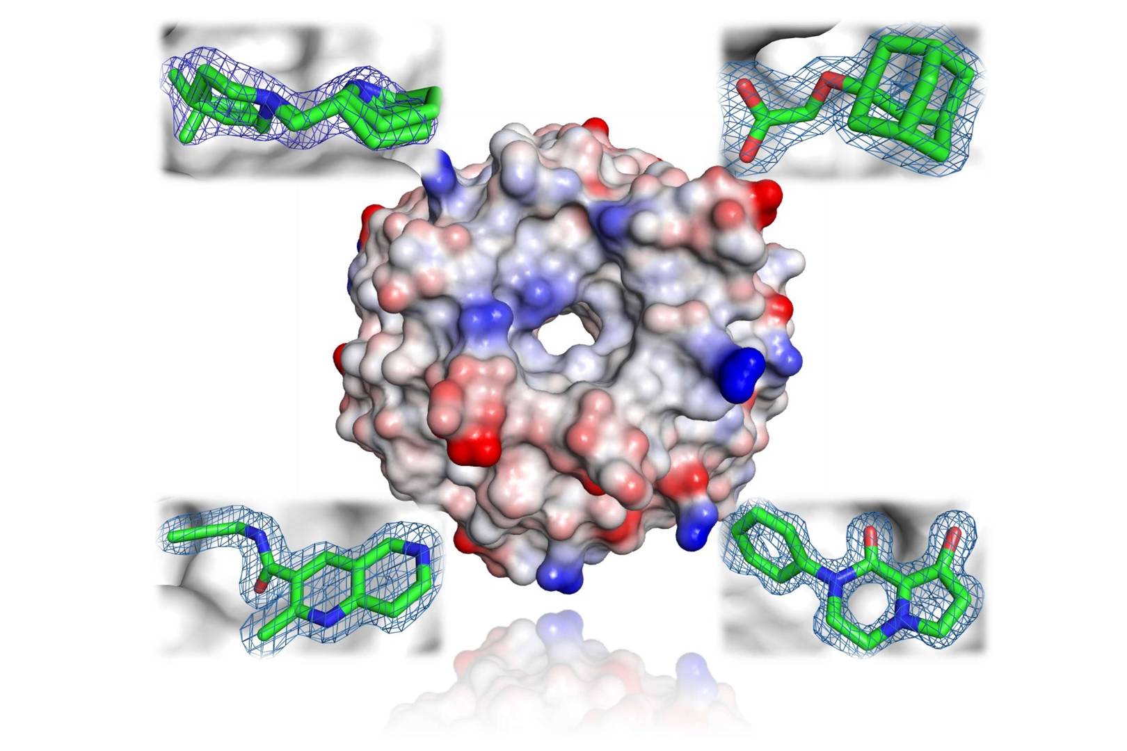 E3 Ligase and 4 examples of fragment hits
