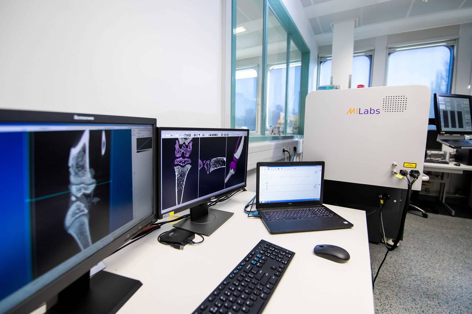 Ex vivo analysis, in vivo study, µCT imaging