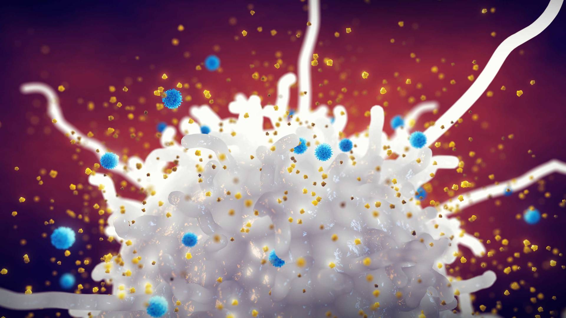 Inflammatory signalling is dependent on a plethora of distinct immune cell subsets