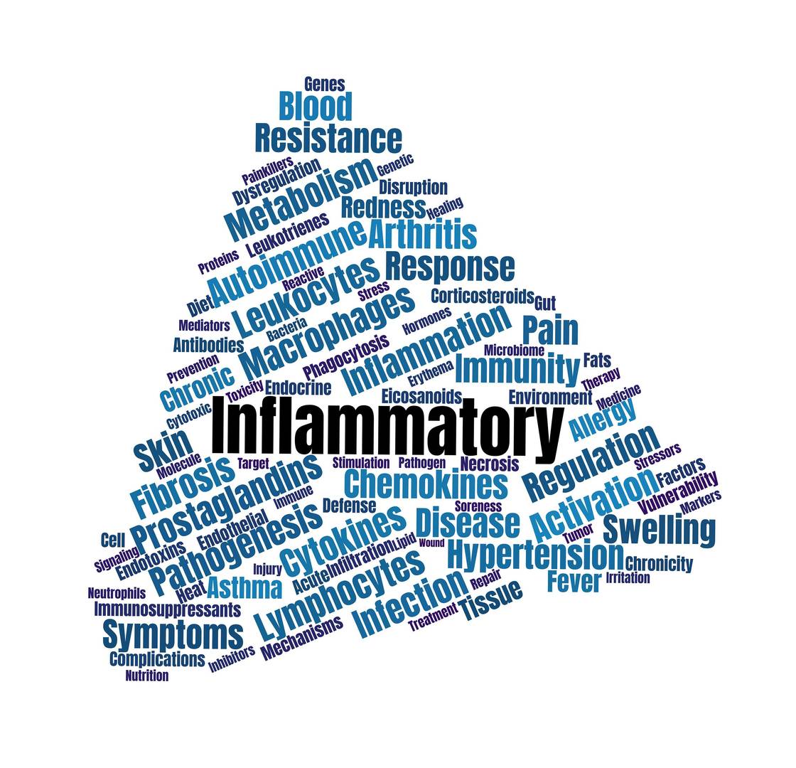 Key role of inflammatory immune response in diseases