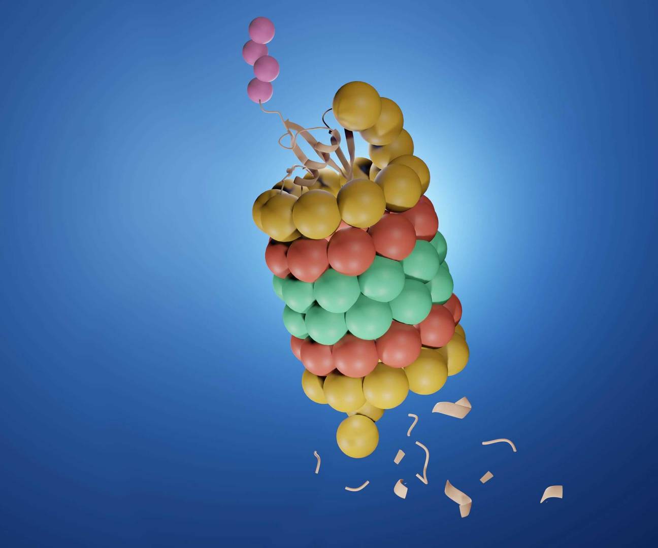 3D rendering of an isolated proteasome with a ubiquitin-conjugated protein