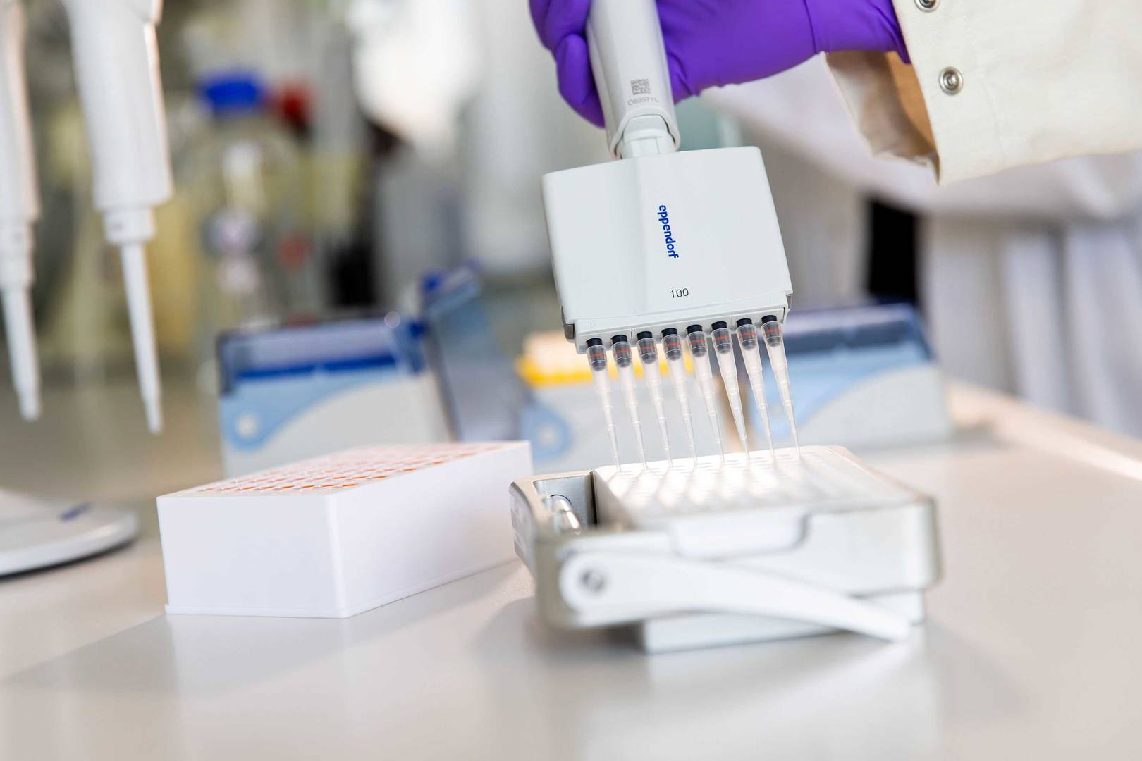 A multipipette dispensing liquid into the wells of a multiwell plate for precise sample preparation.