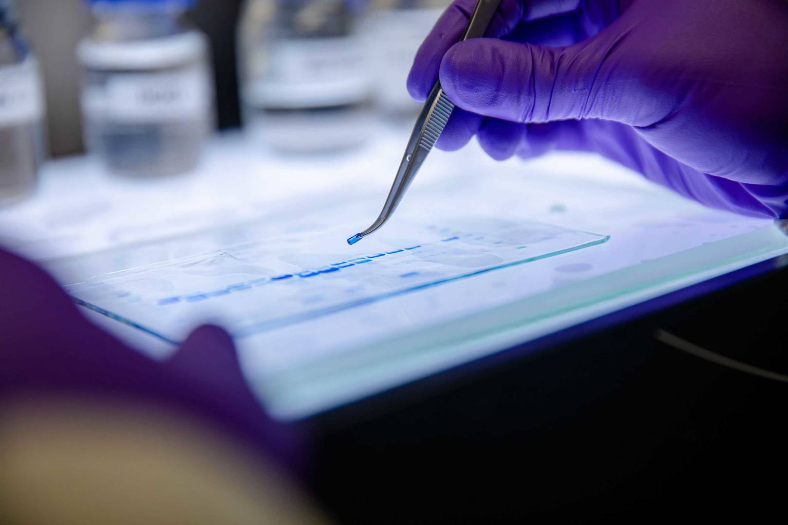 Picking SDS-gel bands for in gel digest
