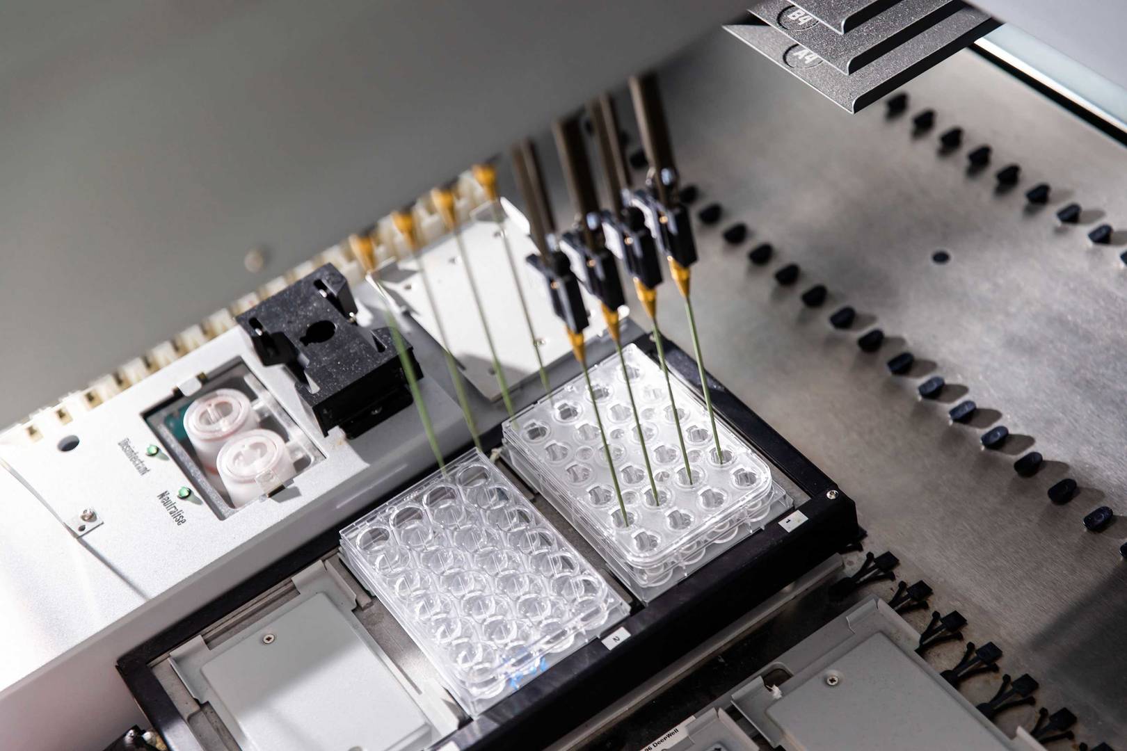 Detail image of a high-throughput screening machine