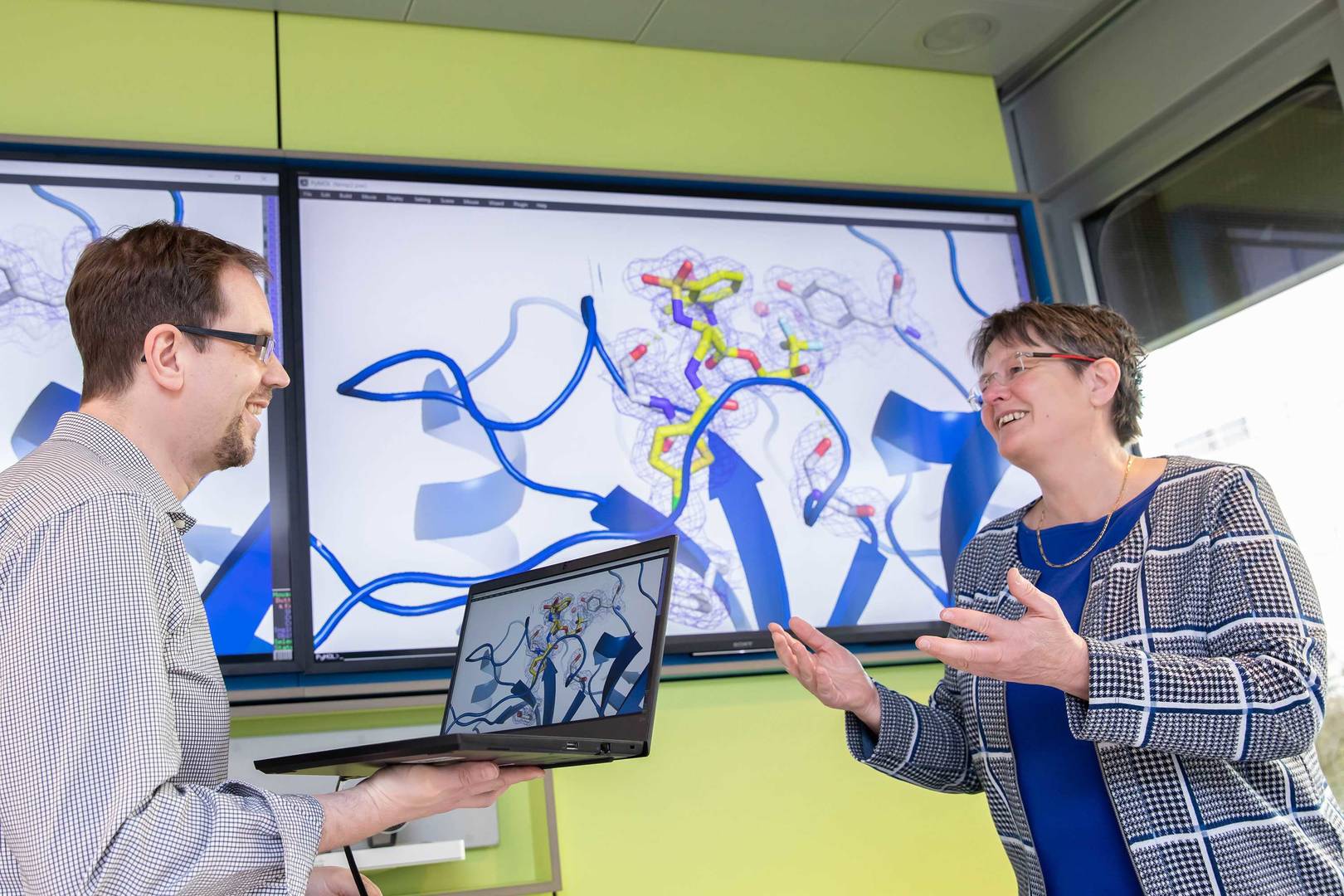 Discussing new lead optimization strategies identified from a new target-compound structure.