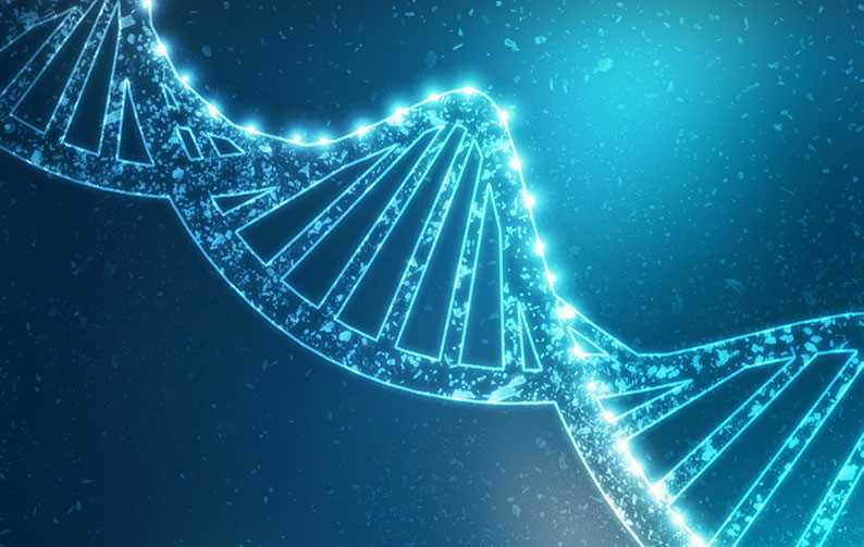 Nuvisan Announces the First Winner of the 1st NUVISAN Drug Discovery Innovation Challenge