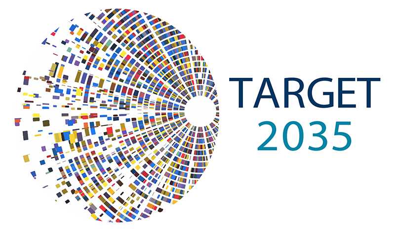 Target 2035 logo