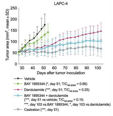 BAY 1895344 plus darolutamide combination treatment improved antitumor efficacy in a human prostate cancer model