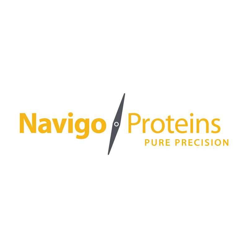 Navigo's company logo