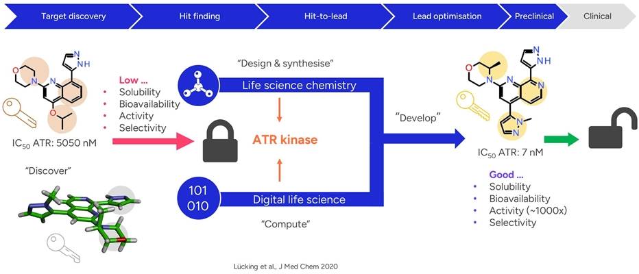 Graphic of ATR inhibitor lead optimisation showing hit and BAY 1895344 with improved ATR kinase potency and IC50 7 nM