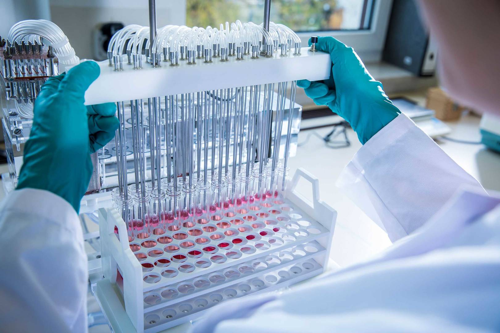 A scientist uses a multifiller to dispense liquid into a rack of vials in a laboratory setting.