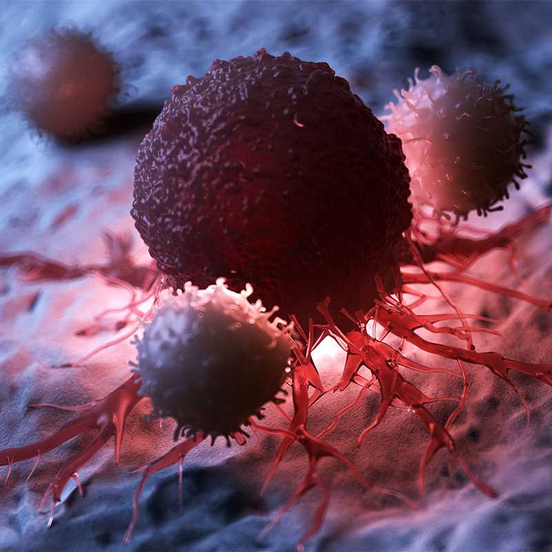 Illustrative visualization of immune cells, e.g. T cells, launching an attack on a cancer cell