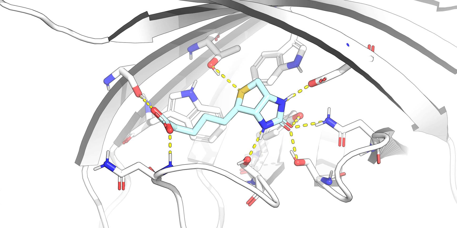 protein-ligand binding site 